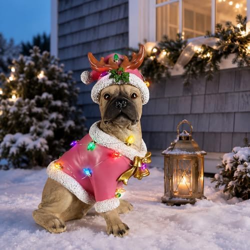 lighted christmas french bulldog statue, pink outfit and, close-up detail