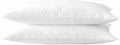 Ultra Thin Flat Soft Bed Pillows Queen Size Set of 2 Pack for Sleeping 20"x30", Hypoallergenic Skin Friendly Machine Washable