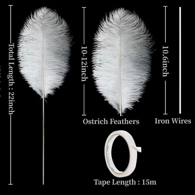 Holmgren White Ostrich Feathers Bulk - 20pcs Making Kit 22 Inch Large Ostrich Feathers for Vase, Floral Arrangement, Wedding Party Centerpieces and Christmas Home Decorations (White)