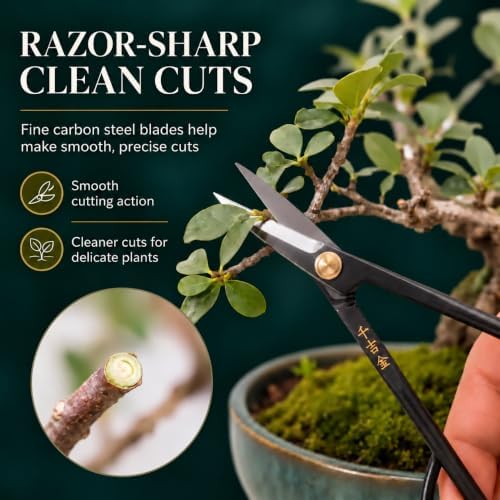 Senkichi 7.1" Japanese Satsuki Bonsai Scissors - Razor-Sharp Carbon Stee...