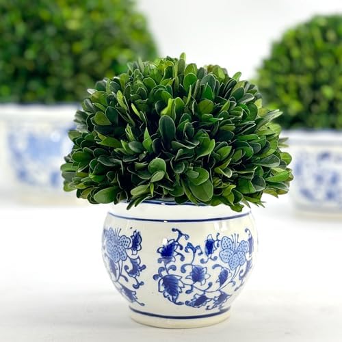 galt international 7" naturally preserved real boxwood ball shown in use