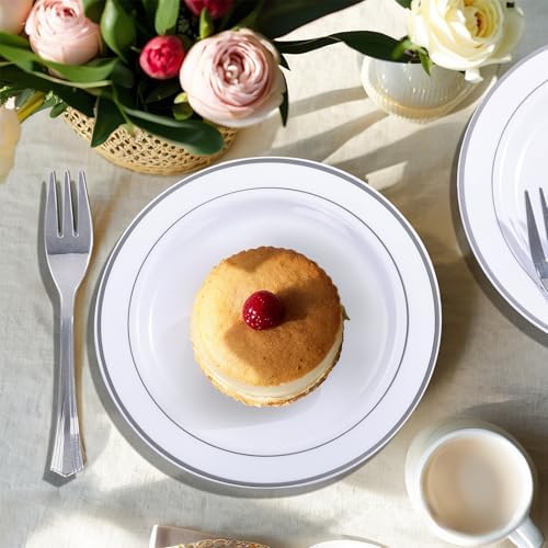 wellife 240pcs silver plastic dessert plates - includes on a desk or shelf
