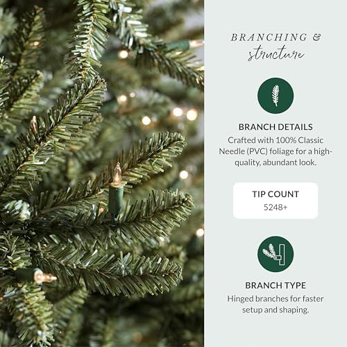 balsam hill 9.5ft pre-lit classic blue spruce, side view