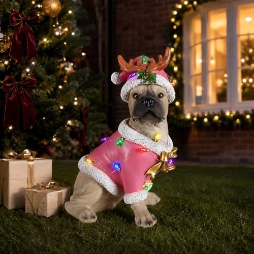 lighted christmas french bulldog statue, pink outfit and showing dimensions