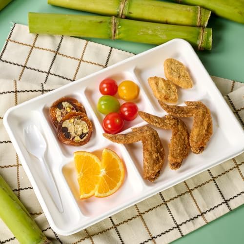 turbo bee compartment paper plates, 100pack disposable divided, front angle view