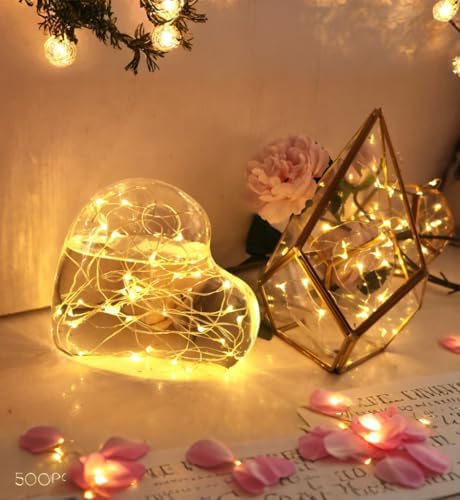 6 Pack Fairy Lights Battery Operated with Timer 2PCS Remote - 6.5ft 20LED Warm White Twinkle Lights Waterproof Silver Wire Fireflies Lights DIY Mason Jar Wedding Party Christmas Centerpiece Table Deco