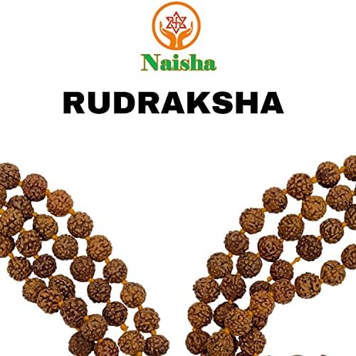 naisha 1001 pcs natural rudraksha beads, 8mm loose on a desk or shelf