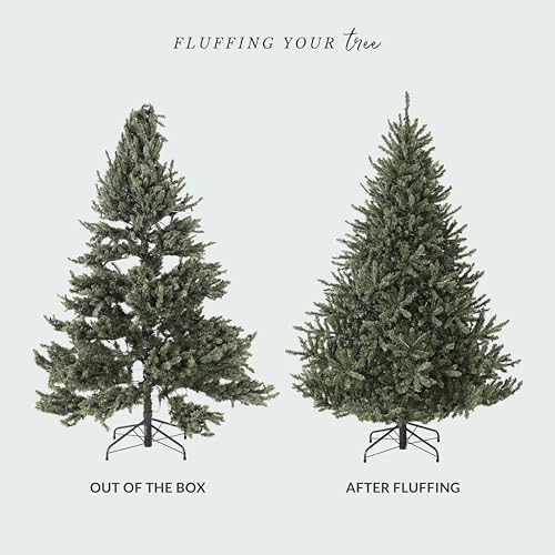 balsam hill 6.5ft unlit classic blue spruce, front angle view