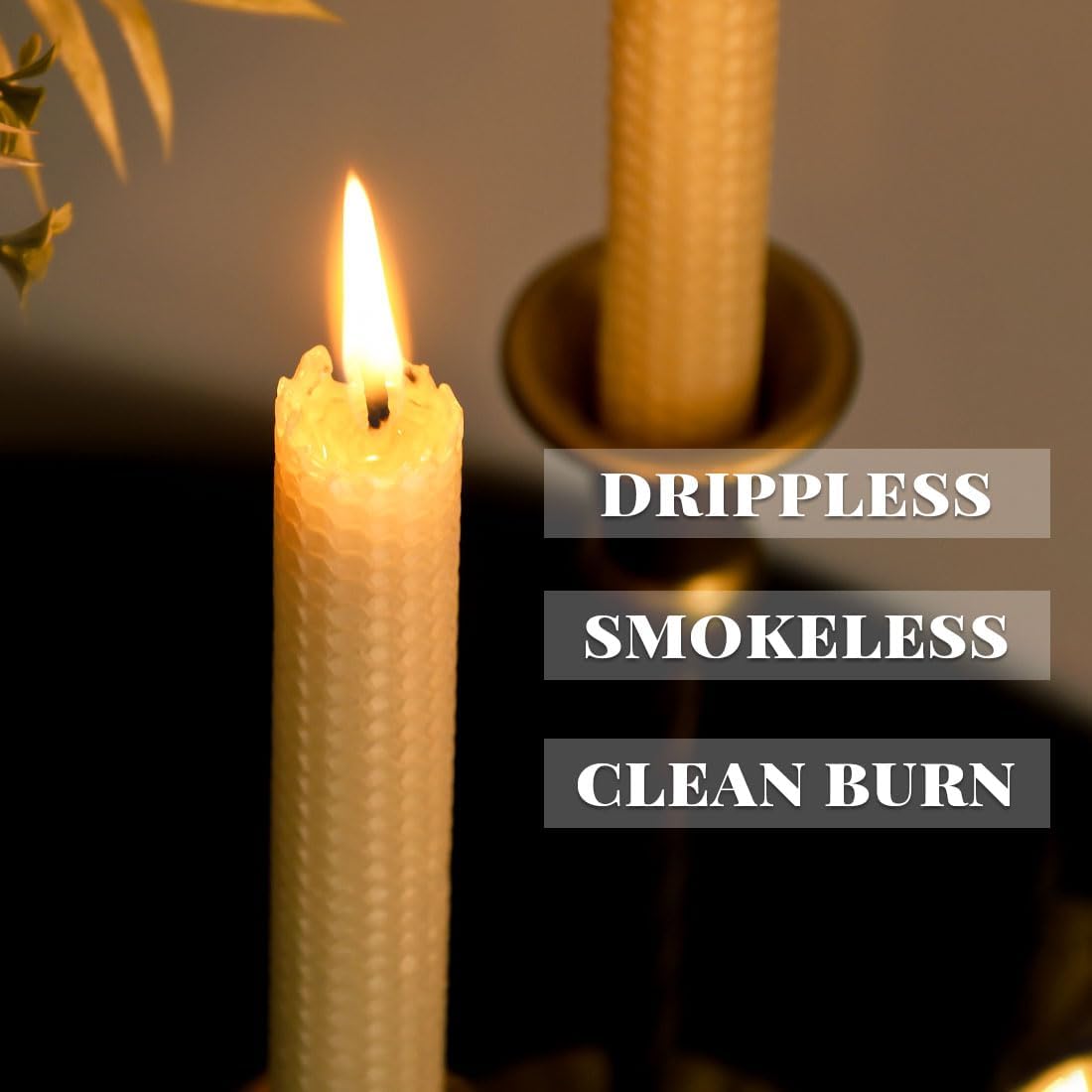 Pack of 4 Beeswax Taper Candles Hand Rolled - Dripless - Organic Natural Scent - 8 Inch in Off White