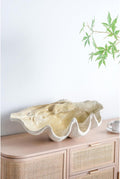 Large Clam Shell Accent