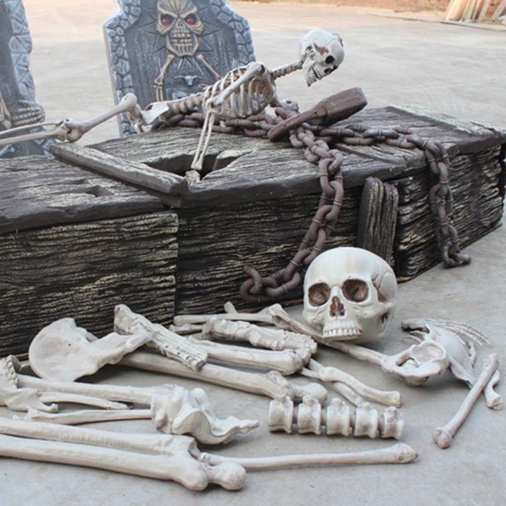 XONOR 28 Pieces Skeleton Bones and Skull for Halloween Decor or Spooky Gravey...