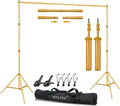 10ft x 7ft - Titanium Gold Adjustable Photography Backdrop Support System Photo Video Studio Background Stand Kit with Carry Bag for Portrait & Studio Photography