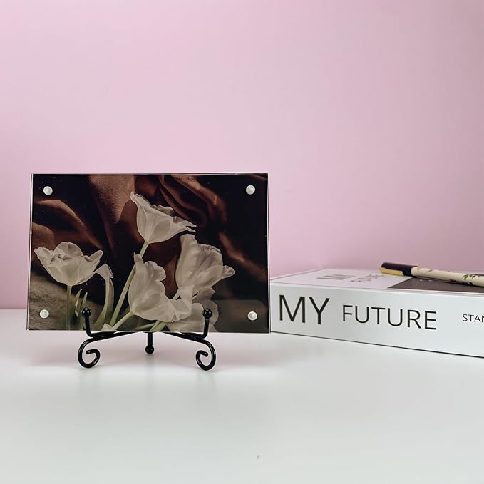 6PCS Premium Black Iron Plate Stands for Display 4 Inch, Decorative Solid Metal Plate Holders for Displaying, Mini Easel, Frame, Book, Card, Plaque, Bowl, Picture Stands for Display