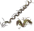 180cm/70.86in Bendable Artificial Tree Branches Liana Vines Garland Rattan with Moss Fake Plants Twigs for Wall Hanging Home Room Outdoor Wedding Background Decoration