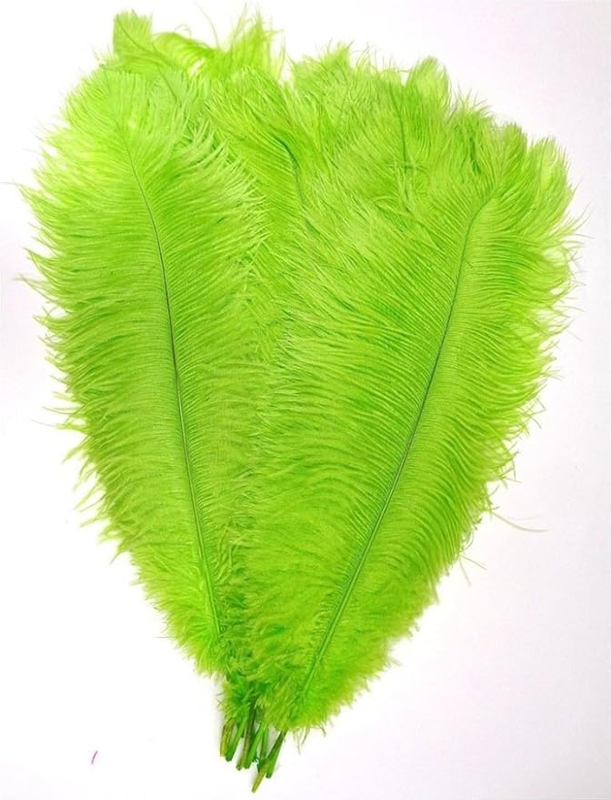 KOLIGHT 40pcs 12''~14''(30~35cm) Natural Ostrich Feathers for DIY Home Wedding Party Office Decoration (Lime)