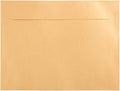 JAM PAPER 9 x 12 Open End Catalog Metallic Envelopes - Gold Stardream - 25/Pack