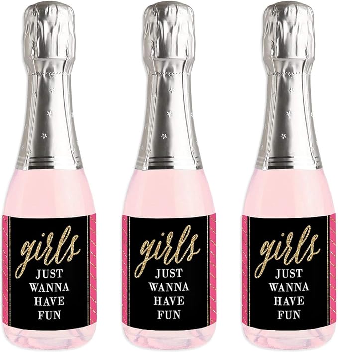 Big Dot of Happiness Girls Night Out - Mini Wine and Champagne Bottle Label Stickers - Bachelorette Party Favor Gift for Women and Men - Set of 16