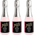 Big Dot of Happiness Girls Night Out - Mini Wine and Champagne Bottle Label Stickers - Bachelorette Party Favor Gift for Women and Men - Set of 16