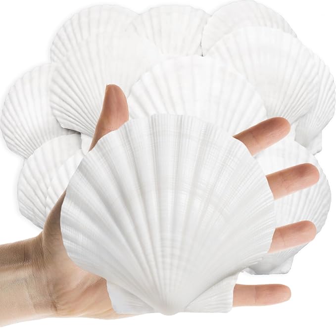 16PCS Sea Shells Scallop Shells Natural White Sea Shells for DIY Craft Crafting,Painting,Baking,Home Decor and Beaching Wedding Decoration (10-12CM) Seashells Bulk