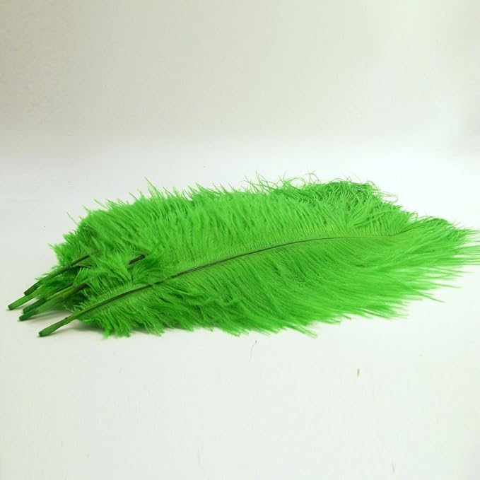 KOLIGHT® 40pcs 12''~14''(30~35cm) Natural Ostrich Feathers for DIY Home Wedding Party Office Decoration (Green)