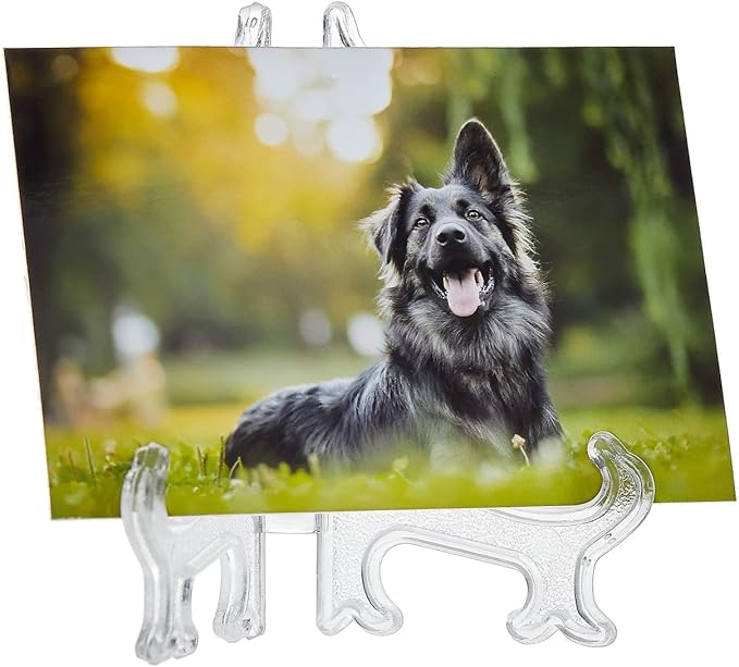 Juvale Mini Acrylic Easel Stands - 24-Pack, 3-Inch Clear Plastic - Display Stands for Collectibles, Trading Cards & Photos