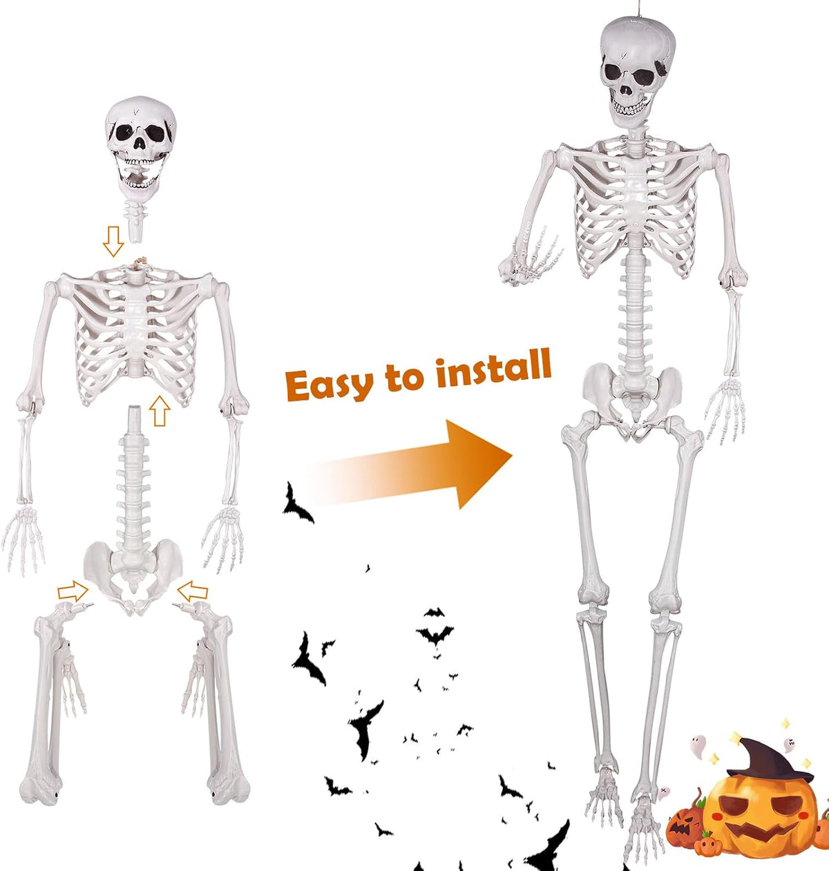 Halloween Skeleton, Realistic Life Size Skeleton with Movable Joints for Hall...