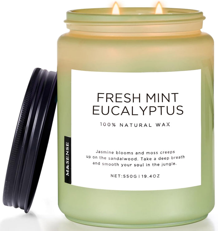 M&SENSE Eucalyptus & Mint Scented Jar Candle, Large 19.4oz Natural Soy Wax, 110-Hour Long Lasting Non-Toxic Clean Burning, Fresh Smelling Home Aromatherapy for Spa Stress Relief, Gifts for Men Women