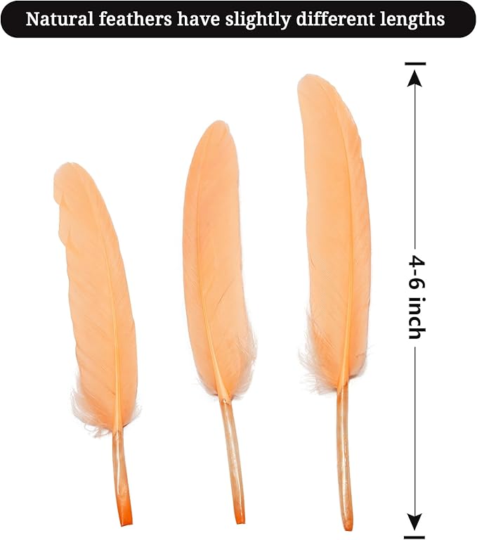 FeelfunFeather 120pcs Champagne Goose Cochettes Feather Natural Bulk 4-6 inch 10-15cm for Wedding Party Christmas Decorations DIY Crafts Goose Cochettes Feather