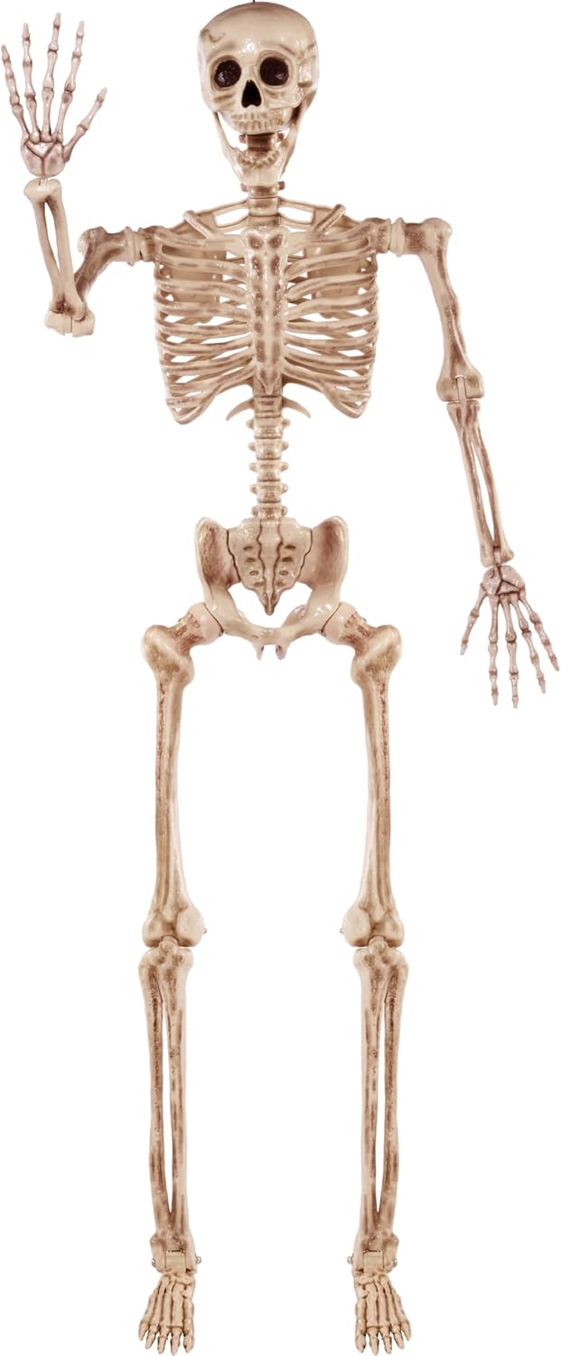 joyin 5.6 ft halloween posable life size skeleton, main product view