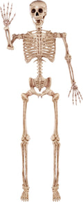 joyin 5.6 ft halloween posable life size skeleton, main product view