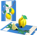 Lovepop Everyday Pop-Up Card for Her and Him - 3D Greeting Cards for Boys, Girls, Men, Women - Mediterranean Lemons - 5" x 7" Card - Blank Notecard & Envelope Included