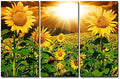 sunflower wall art canvas print sunrise picture, 3, main product view