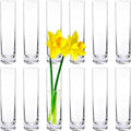 12 Pack 7 Inch Glass Cylinder Bud Vases for Centerpieces Clear Slim Flower Vases Tall Glass Cylinder Vase Small Vase for Single Rose Vases Bulk, Home Aesthetic Desk Decor