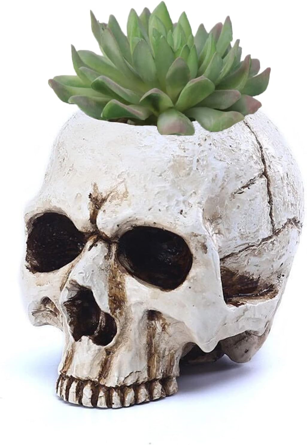 VICDUEKG Skull Candle Holder Skeleton Candlestick Holders Spooky Tealight Cup Gothic Decor Resin Candlestick Crafts for Halloween Christmas Home Party Graveyard Outdoor Bar Decoration, White, 1 Pieces
