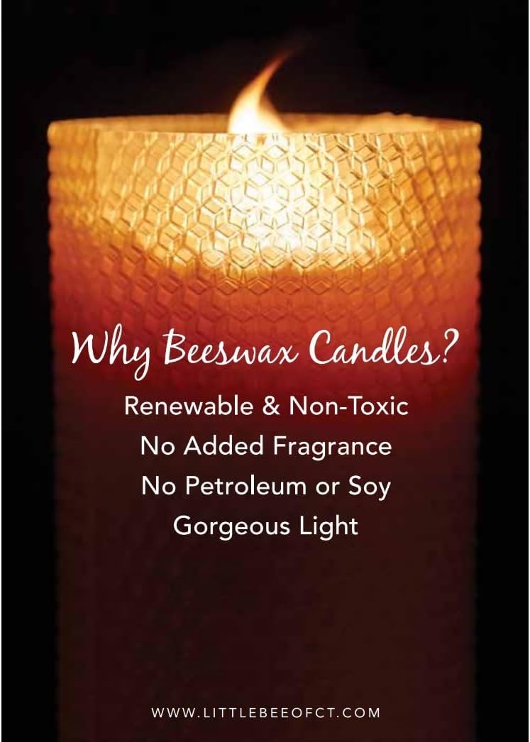 8" Hand Rolled Beeswax Taper Candle - Little Bee of Connecticut (One Pair) | Fits Any Size Taper Holder - 9 to 10 Hour Burn Time Each - 100% Cotton Wick - Made in Connecticut - 100% Pure Beeswax Candle