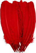 Red Turkey Feathers,22 Pcs Natural Feathers Bulk Long 10-12 inch (25-30cm),Turkish Feather for Crafts DIY Wedding Home Party Mardi Gras Decorations (Red)