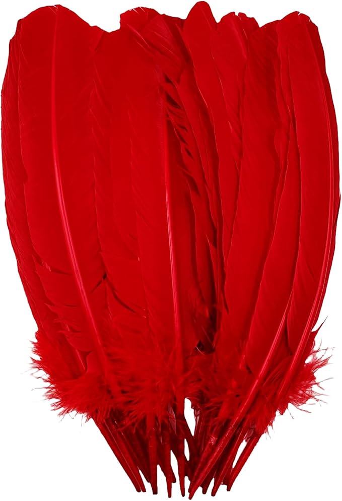 Red Turkey Feathers,22 Pcs Natural Feathers Bulk Long 10-12 inch (25-30cm),Turkish Feather for Crafts DIY Wedding Home Party Mardi Gras Decorations (Red)