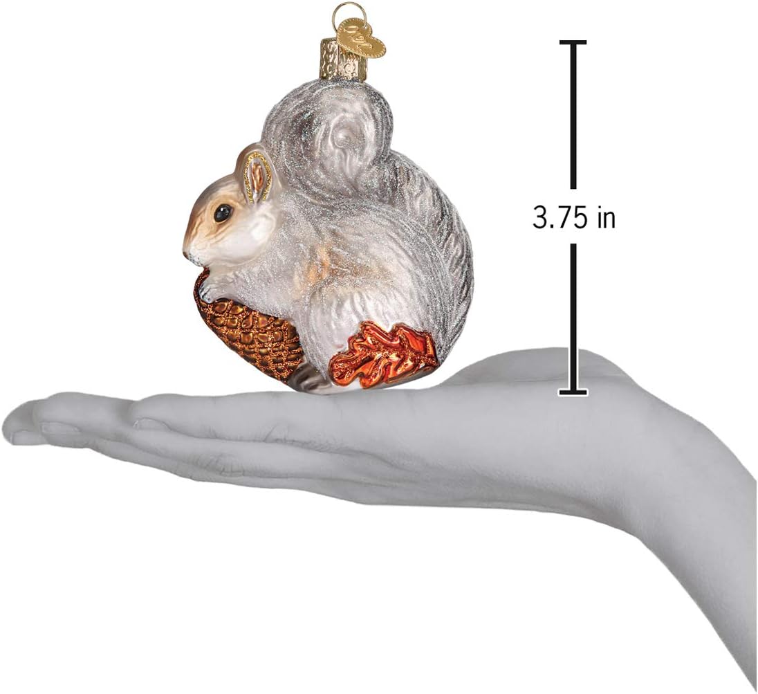 Old World Christmas Hungry Squirrel Glass Blown Ornament for Christmas Tree, Handcrafted Holiday Decoration, Wildlife Animal Collection