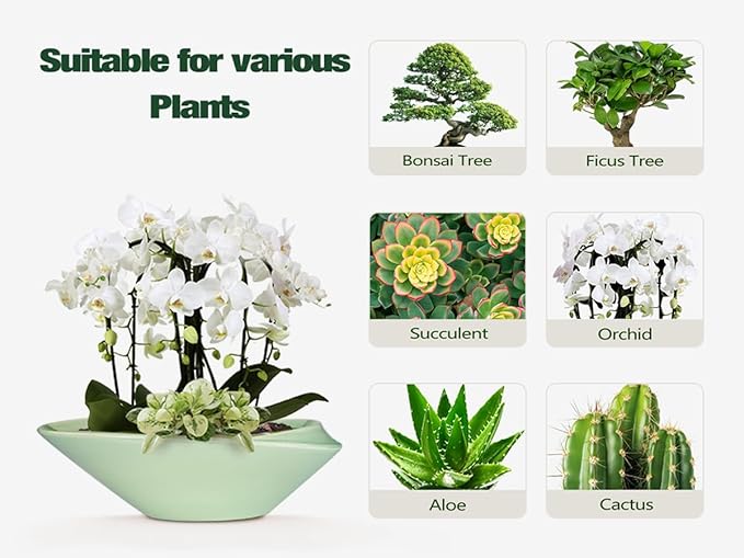 Ceramic Bonsai Pot - 18 Inch Planter with Drainage Hole Large Modern Bonsai Planter Decorative Succulent Flower Plant Pot for Indoor Plants Outdoor Green