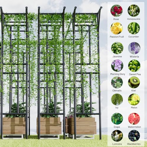 flat top garden arch trellis 11ft x 9ft showing dimensions