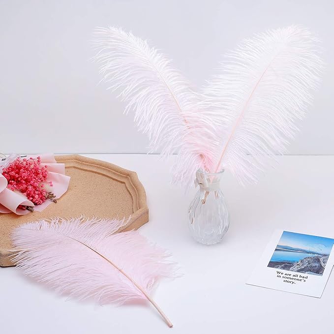 Ballinger Light Pink Ostrich Feathers - 24Pcs 12-14inch Large Feathers for Crafts,Party Centerpieces,Wedding and Home Decor