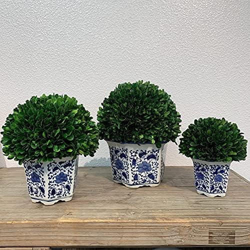 galt international 11" naturally preserved real boxwood ball on a desk or shelf