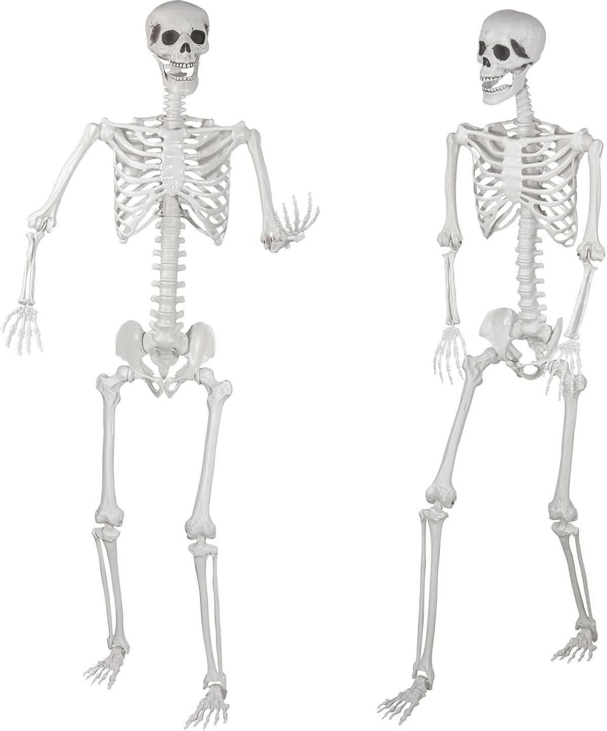 Halloween Skeleton, Realistic Life Size Skeleton with Movable Joints for Hall...