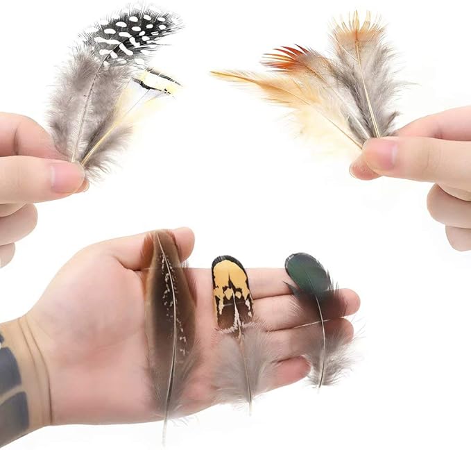 360pcs 12 Styled Natural Feathers Assorted Mixed Feathers for Jewelry and Dream Catcher Crafts