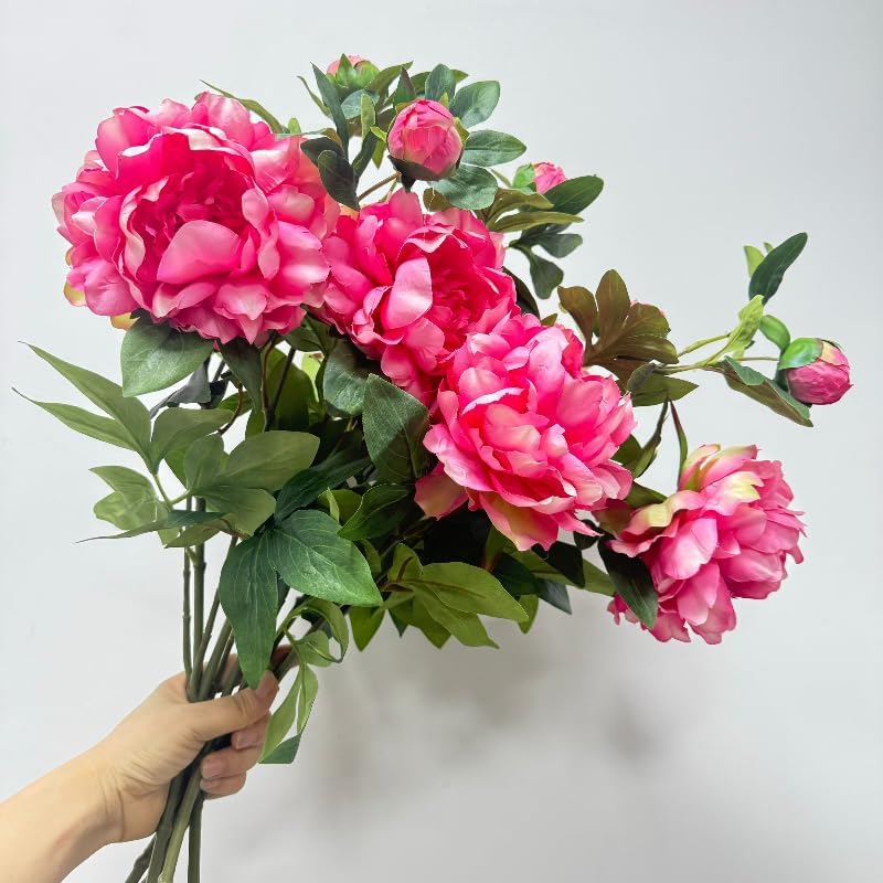 Peonies Artificial Flowers,Silk Flowers with Stems,Winter Flowers Artificial for Decoration,Long Stem Artificial Flowers for Tall Vase,Wedding Table Centerpiece Party Decor (3, Deep Pink)