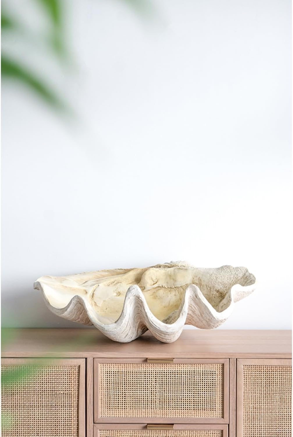 Large Clam Shell Accent