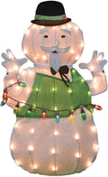 32" rudolph 2d pre-lit yard art sam the, main product view