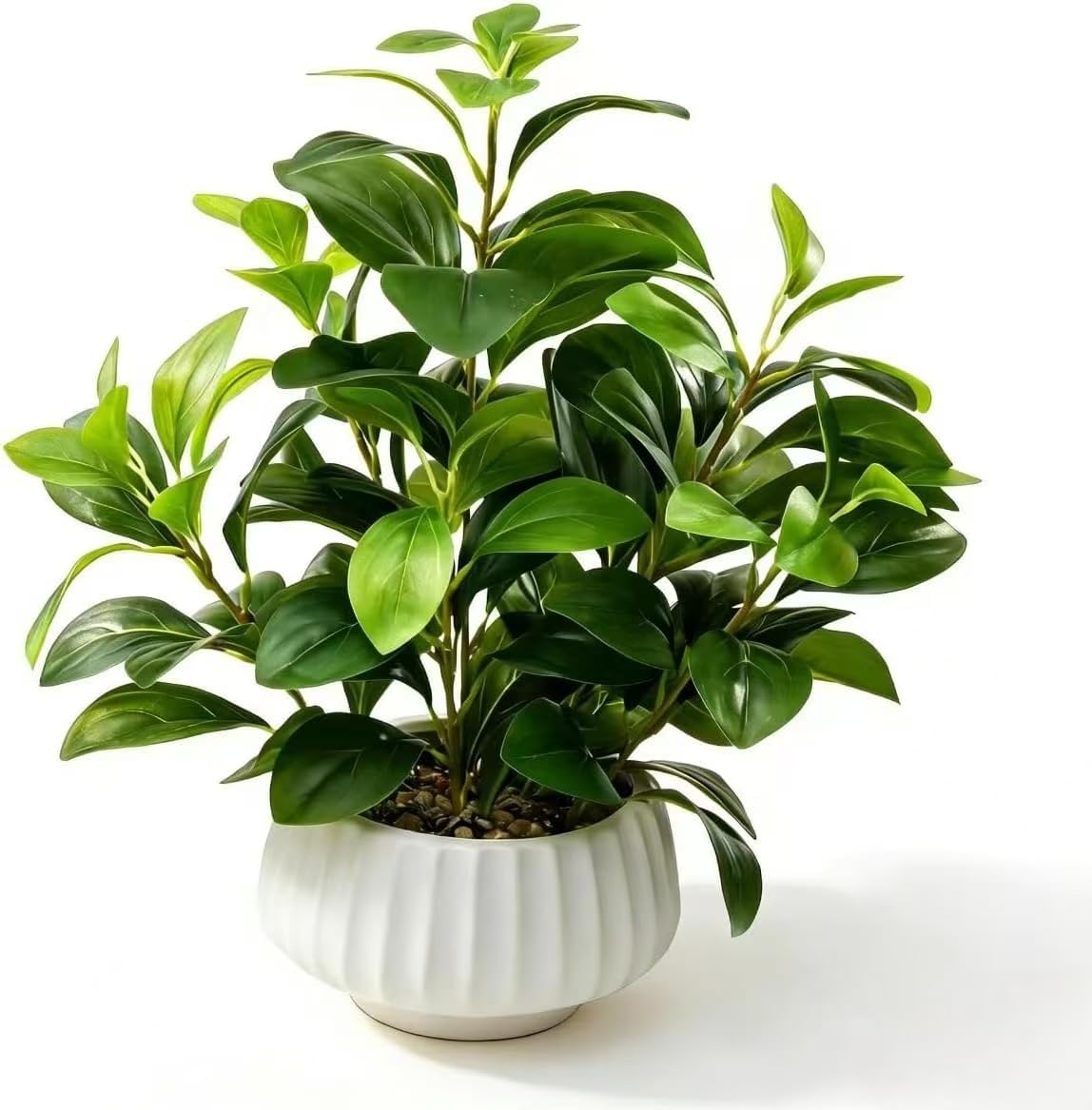 Artificial Peperomia Plants 16” Tall Lifelike Faux Greenery in 6” White Ribbe...