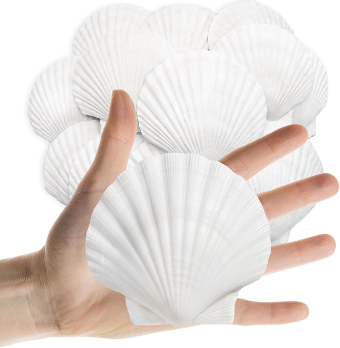 25PCS Sea Shells Scallop Shells Natural White Sea Shells for DIY Craft Crafting,Painting,Baking,Home Decor and Beaching Wedding Decoration (6-8CM) Seashells Bulk