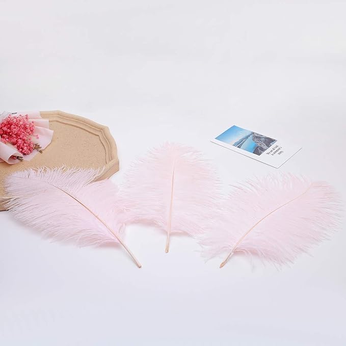 24pcs Natural Light Pink Ostrich Feathers 10-12inch (25-30cm) for Wedding Party Centerpieces，Flower Arrangement and Home Decoration.